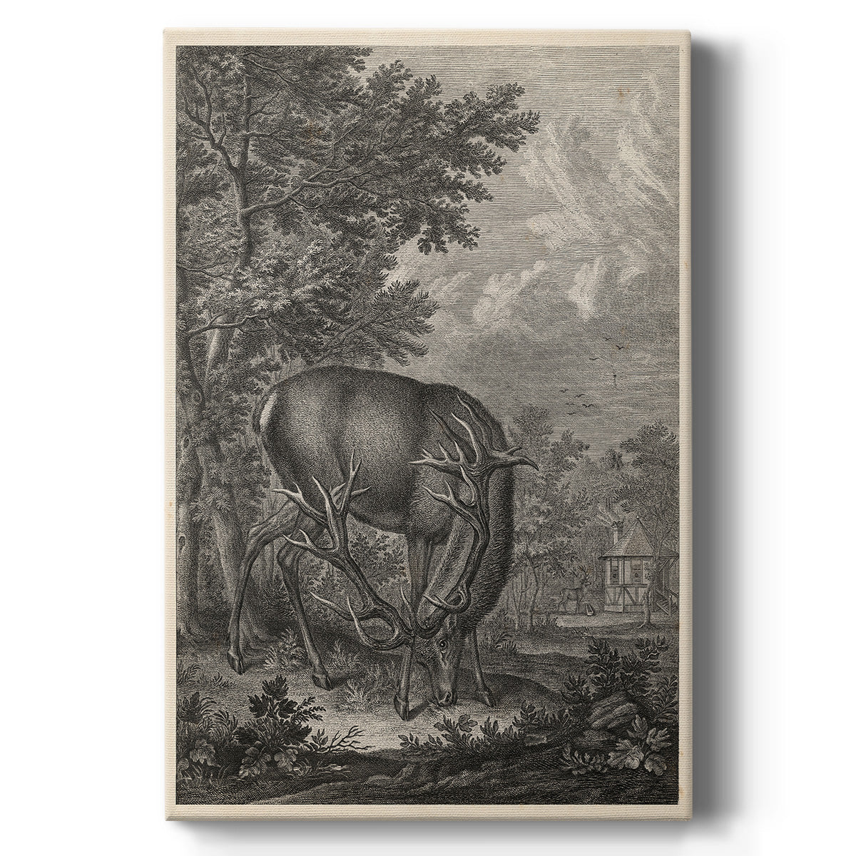 Woodland Deer IV - Canvas Art Print