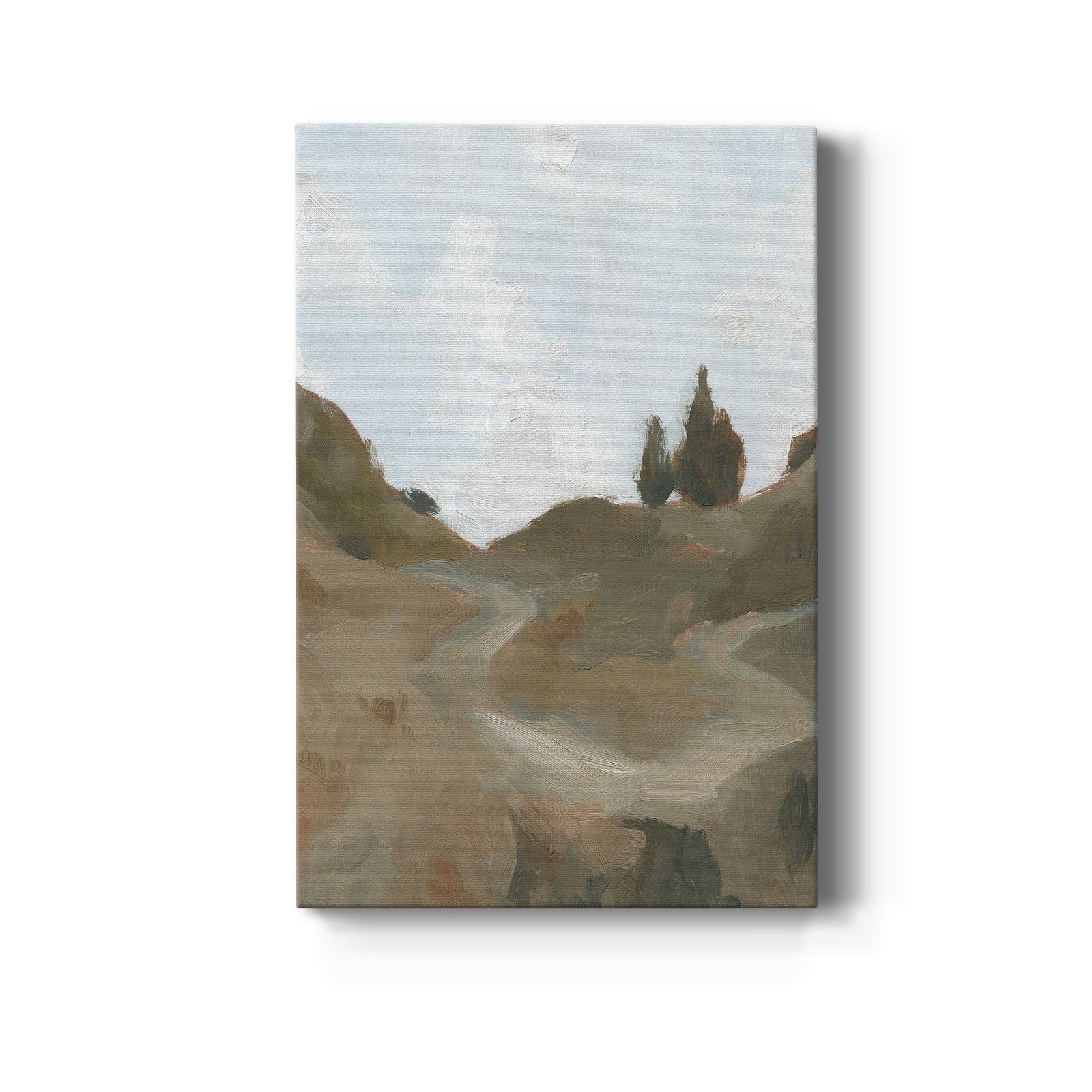 West Fork Hiking Trail III - Canvas Art Print