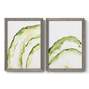 Lichen Halo I - Barnwood Framed Canvas Set