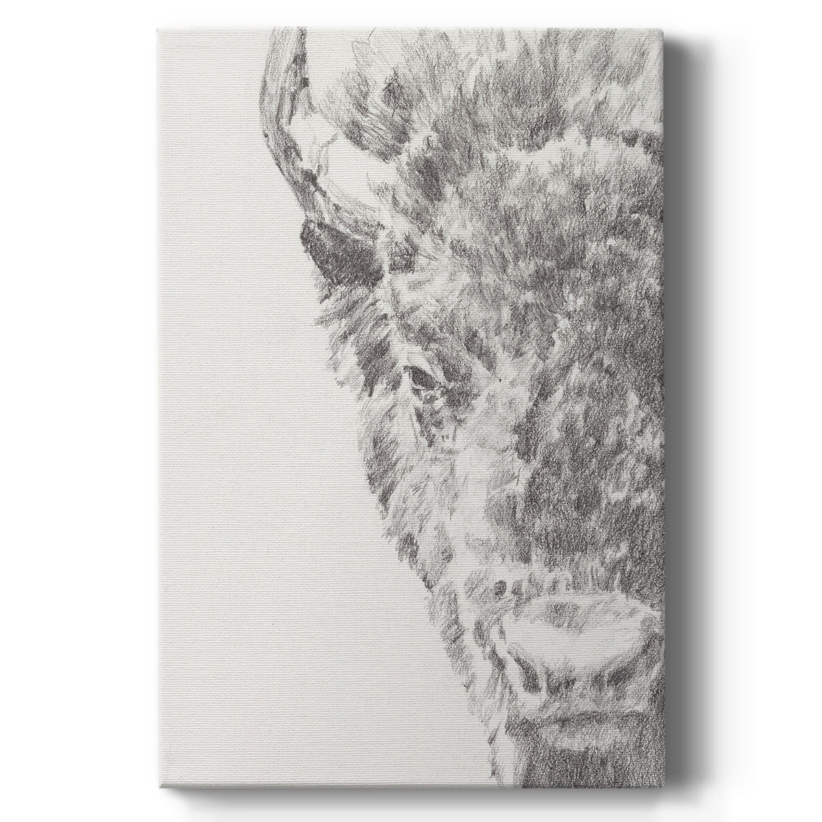 Graphite Bison Portrait I - Canvas Art Print