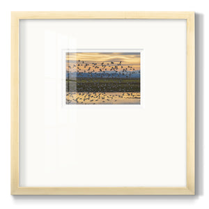 Sunset Flight- Premium Framed Print Double Matboard