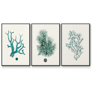 Antique Coastal Coral IV - Framed Premium Gallery Wrapped Canvas L Frame 3 Piece Set - Ready to Hang