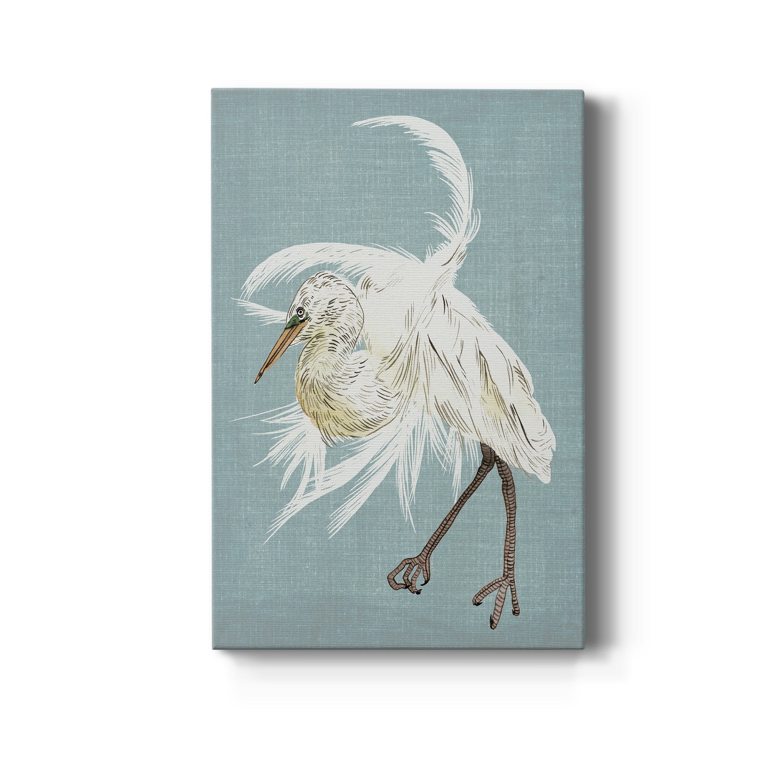 Heron Plumage IV - Canvas Art Print