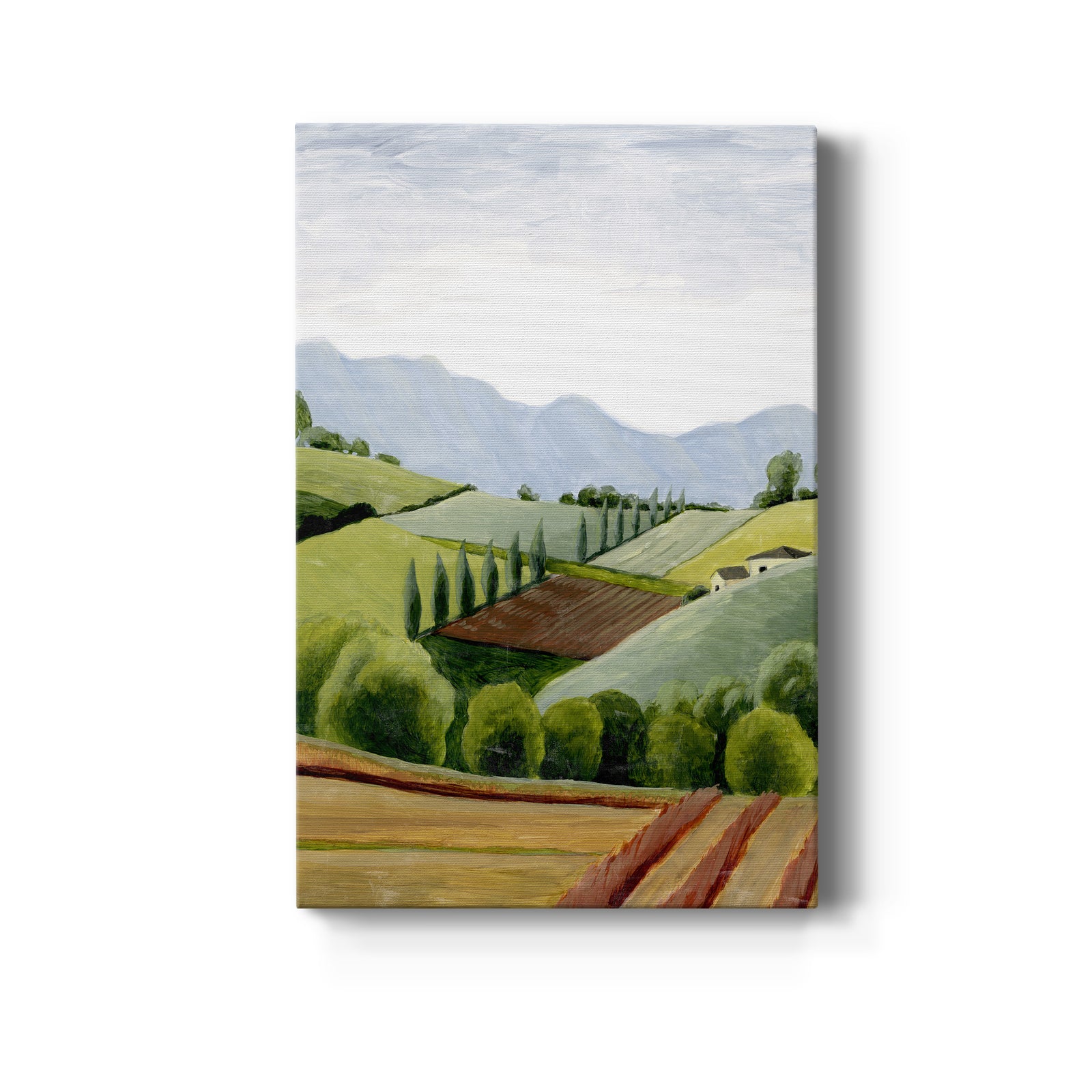Tuscan Valley Sketch II - Canvas Art Print