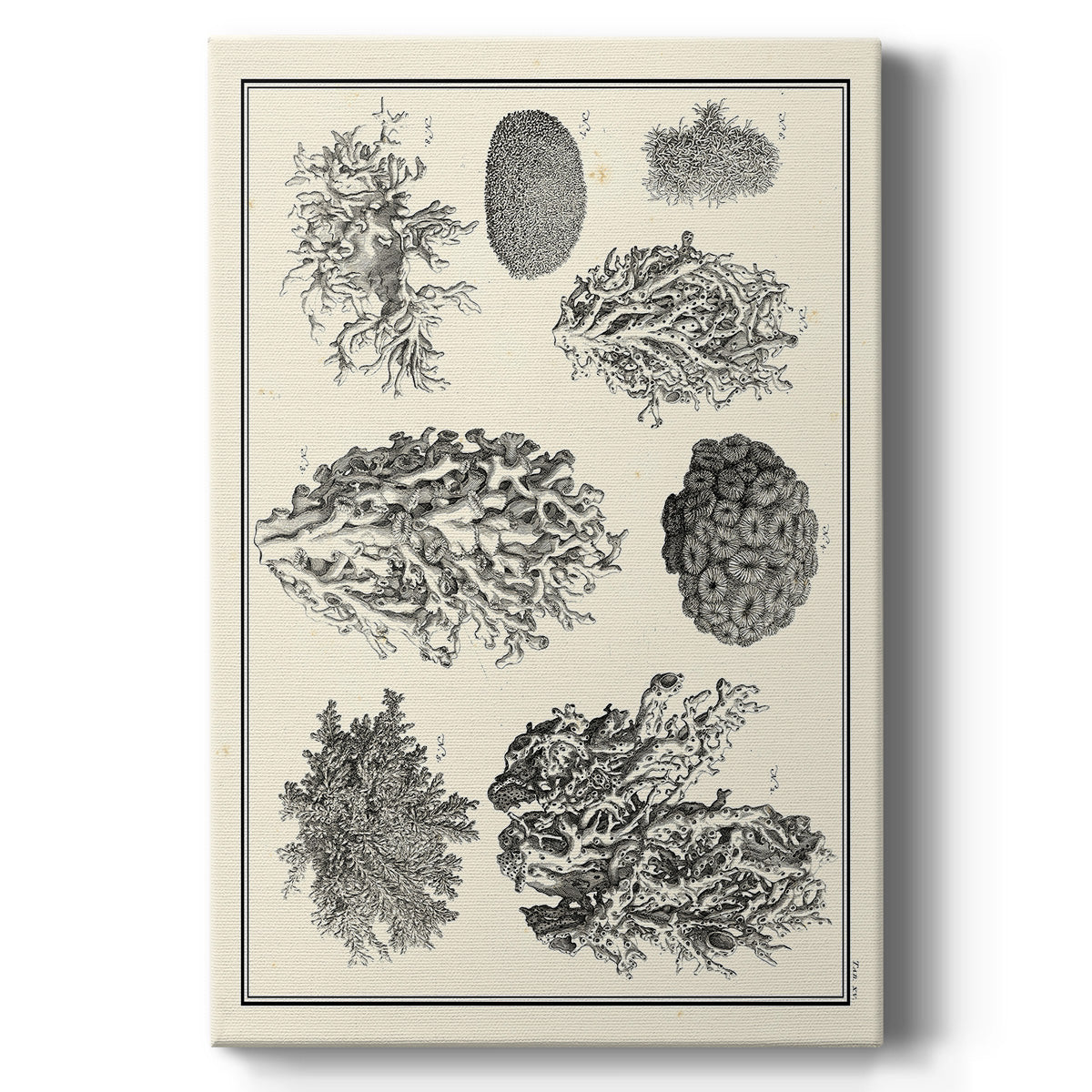 Aegean Collection IV - Canvas Art Print