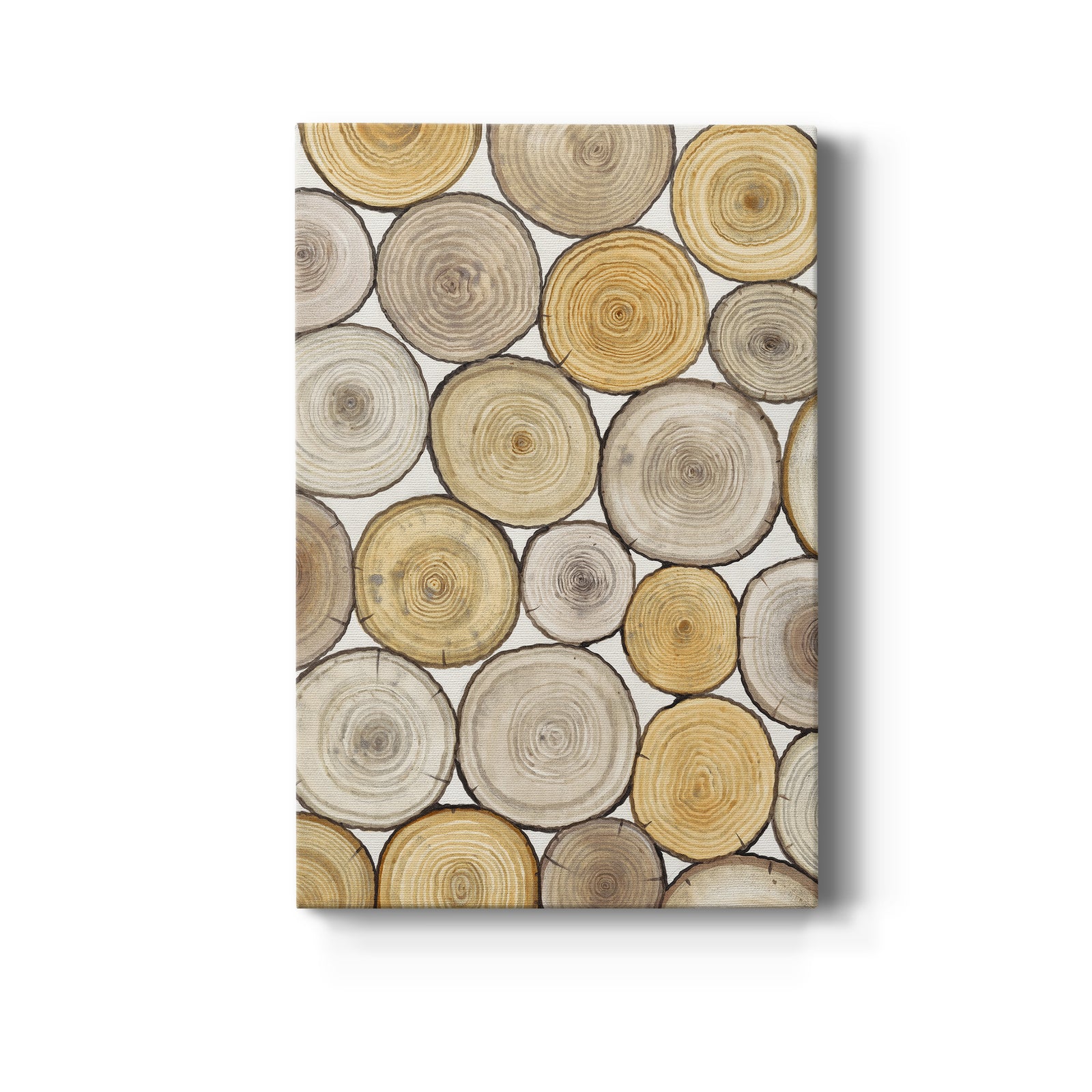 Tree Ring Study II - Canvas Art Print