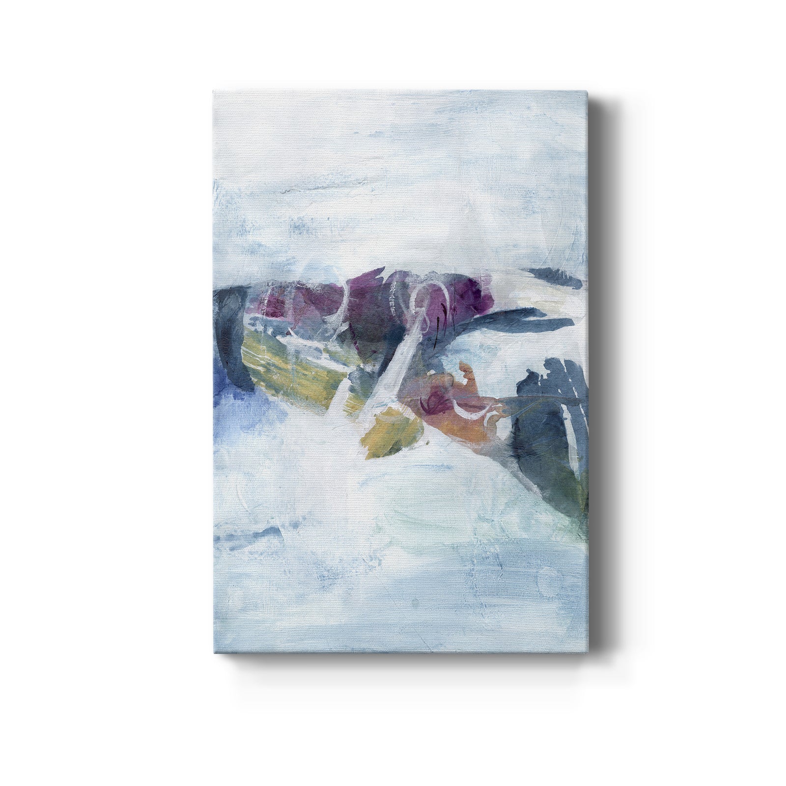 Gliding on Ice I - Canvas Art Print