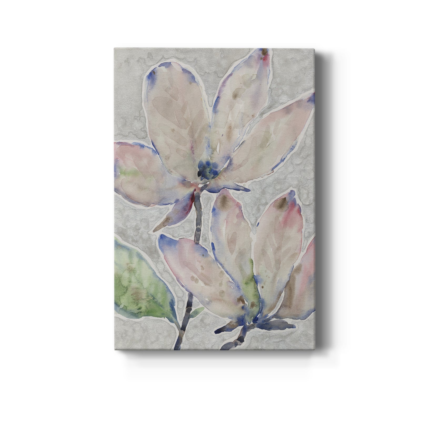 Blossom Study II - Canvas Art Print