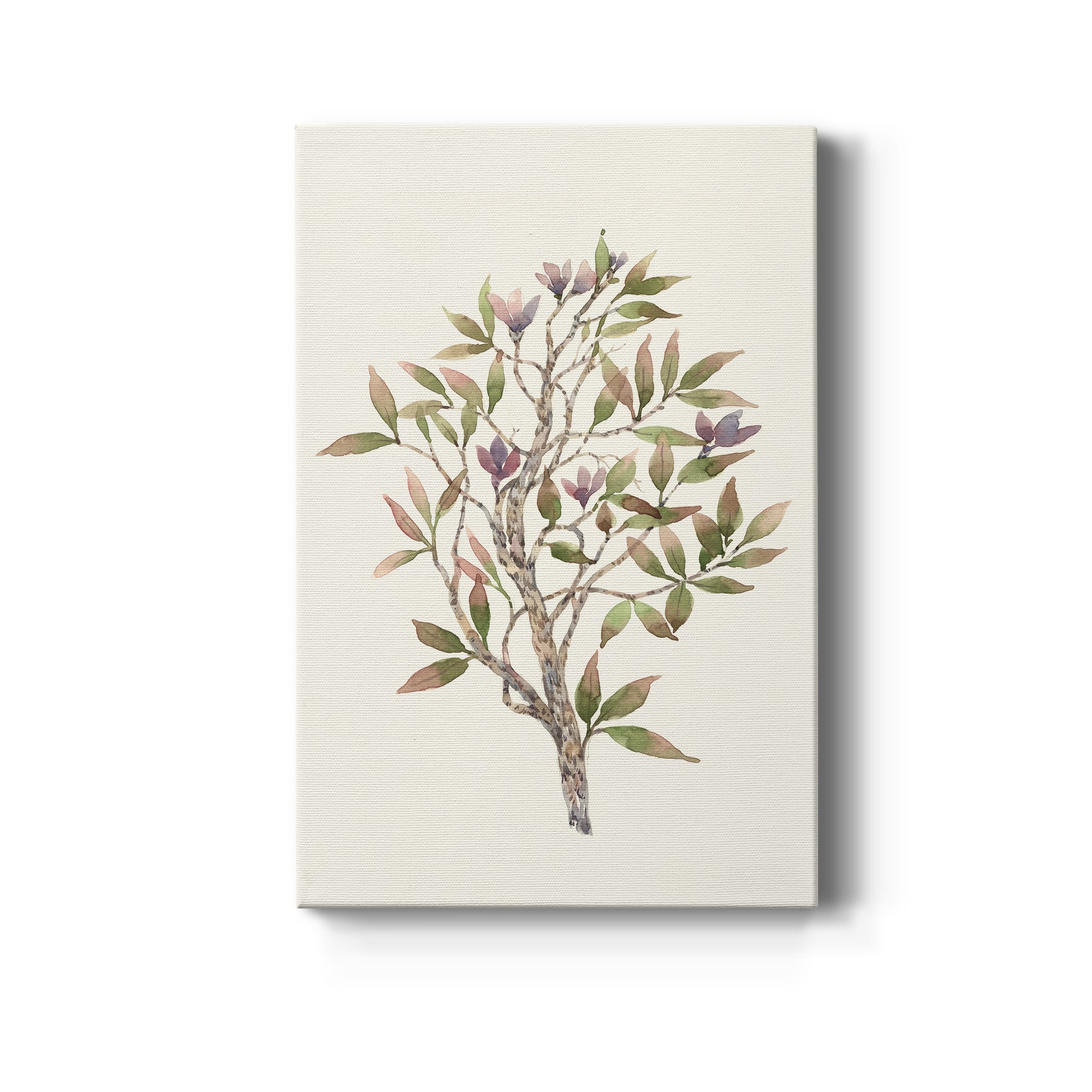 Twig Study II Premium Gallery Wrapped Canvas - Ready to Hang
