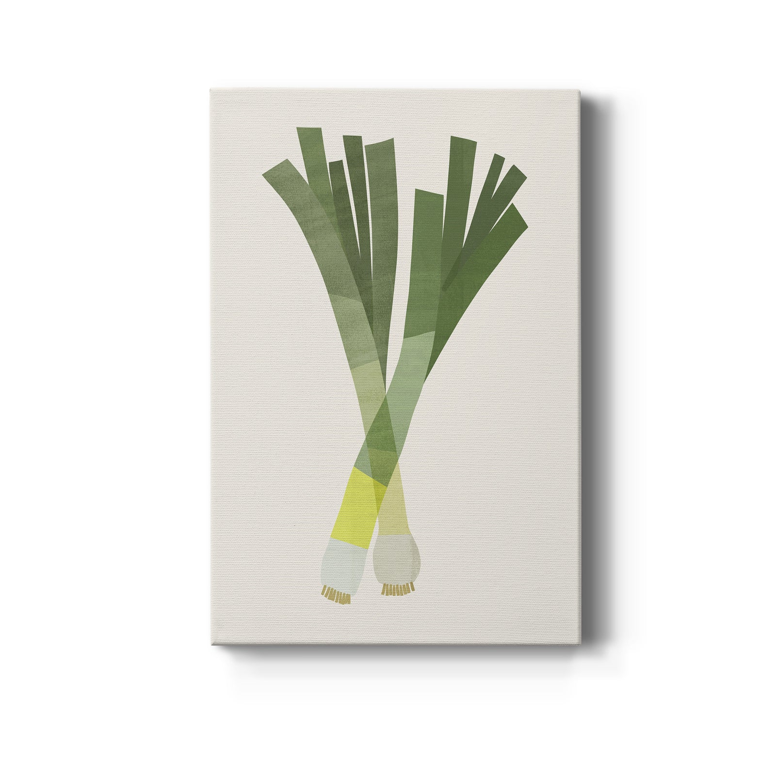 Organic Veg II - Canvas Art Print