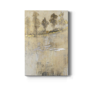 Cloaked in Mist II - Canvas Art Print