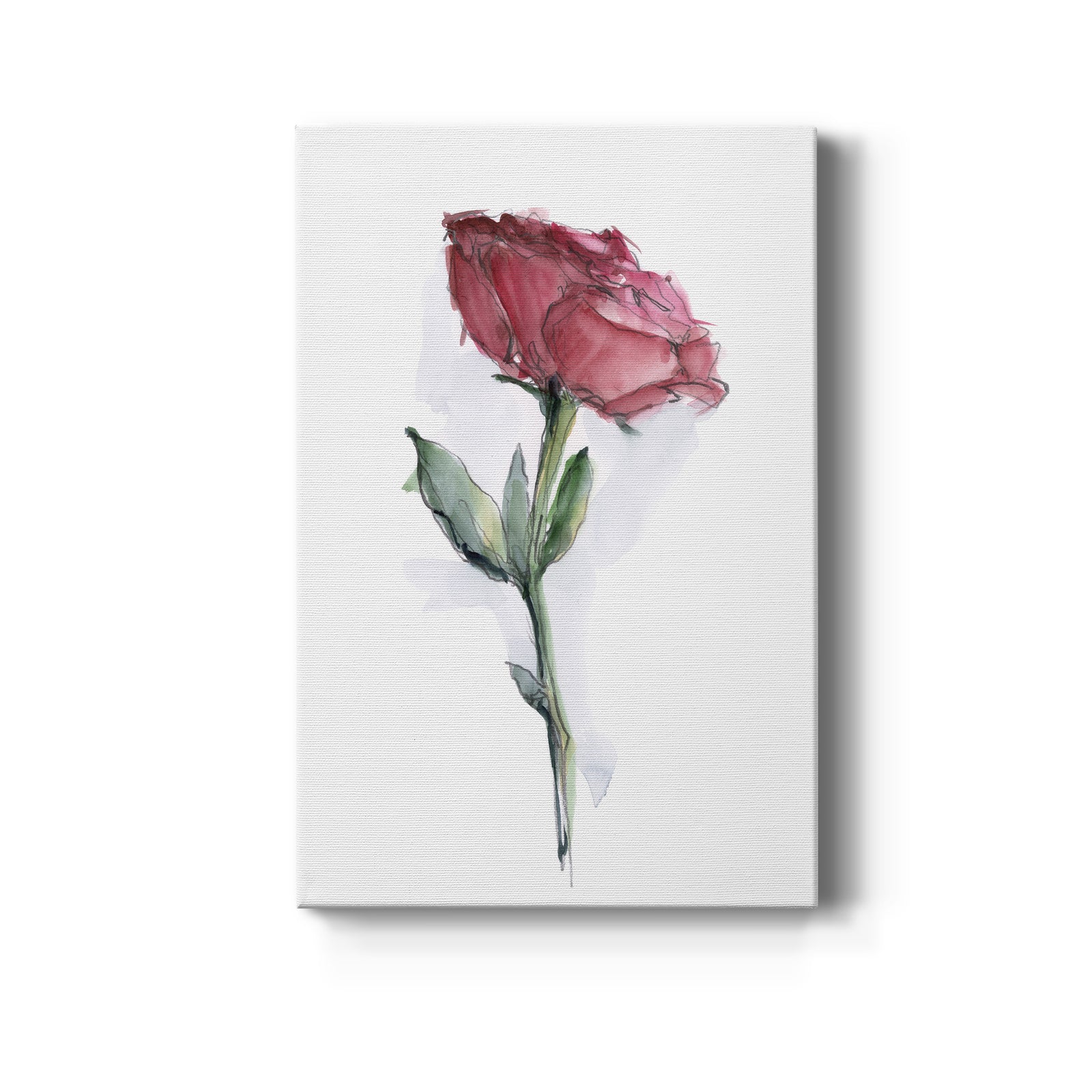 Watercolor Floral Contour II - Canvas Art Print
