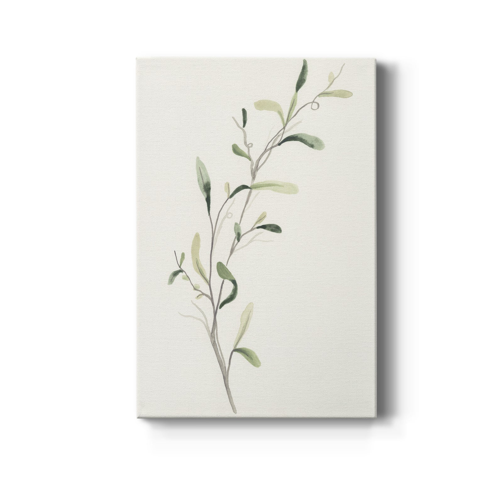 Spindle Sprig IV - Canvas Art Print