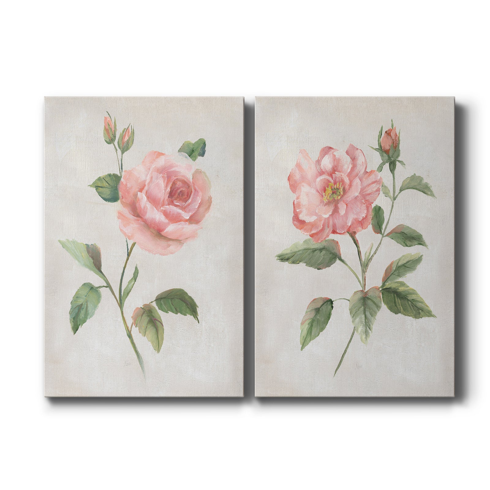 Grandiflora I - Canvas Art Set
