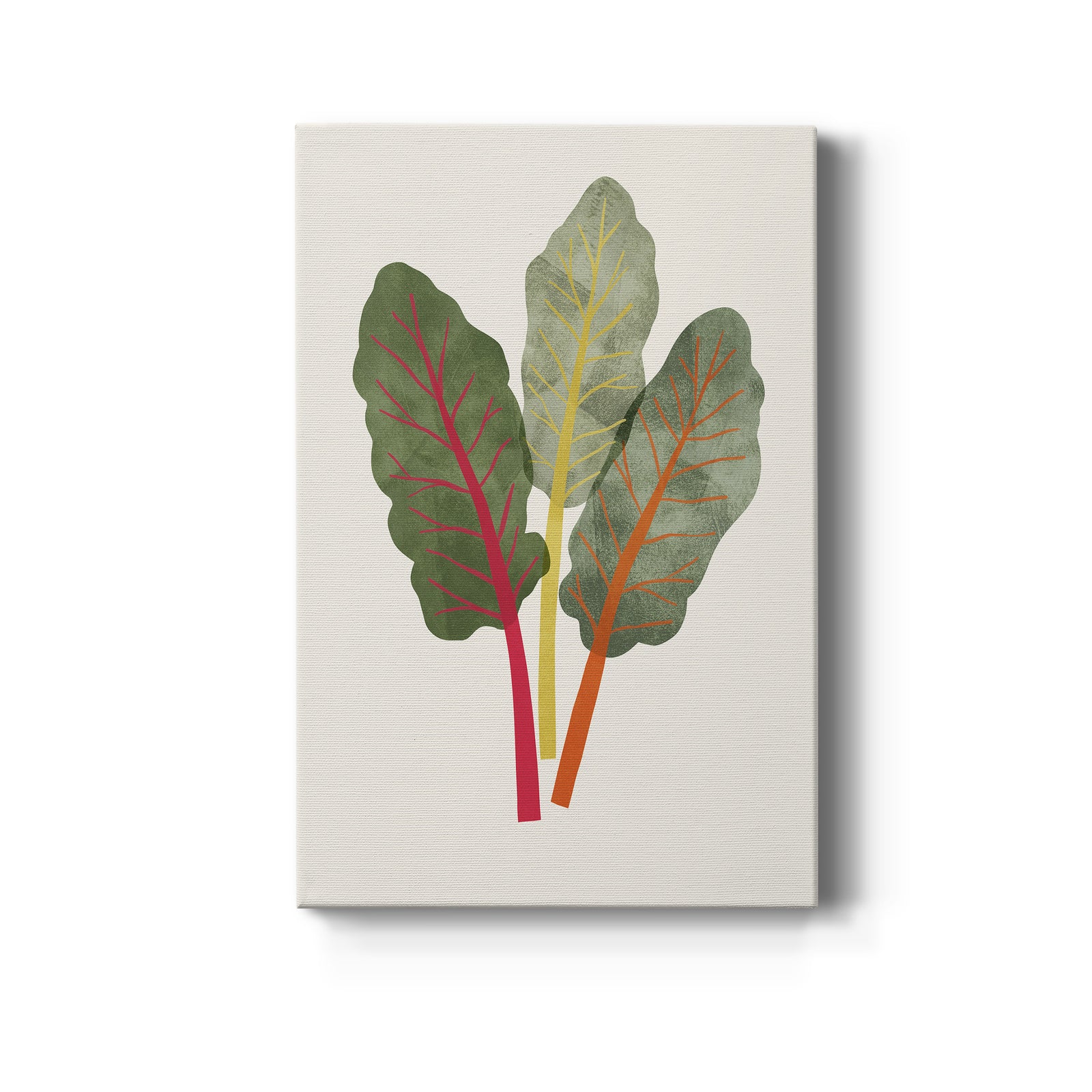 Organic Veg V - Canvas Art Print