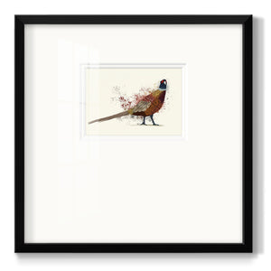 Pheasant Splash 2 Premium Framed Print Double Matboard