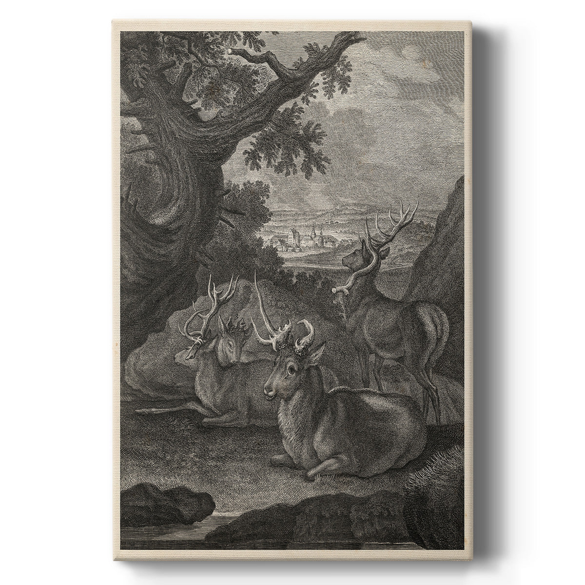 Woodland Deer VI - Canvas Art Print