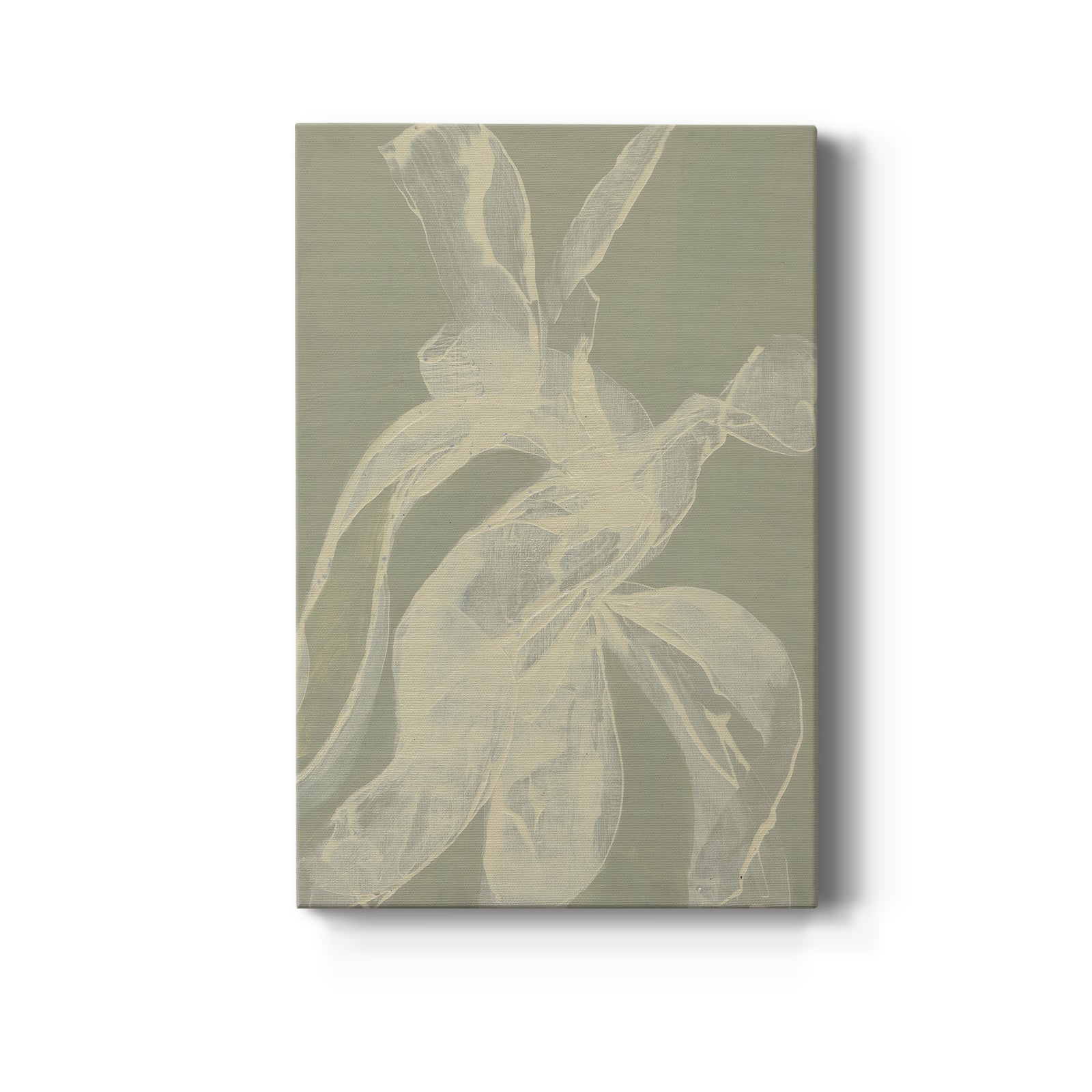 White Ribbon on Celadon I - Canvas Art Print