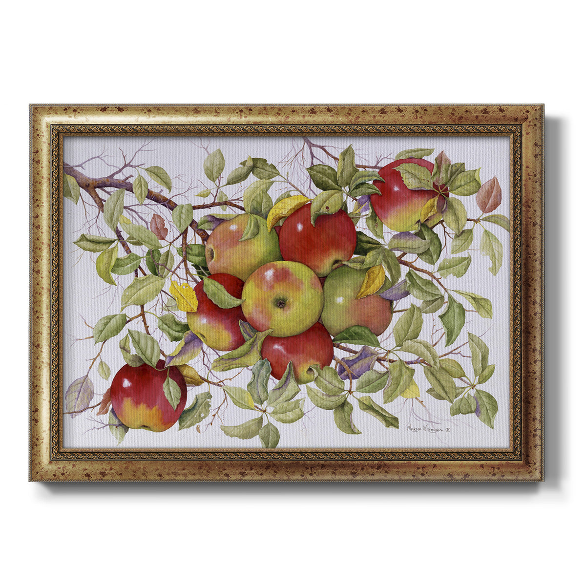 Apples Premium Framed Canvas- Ready to Hang