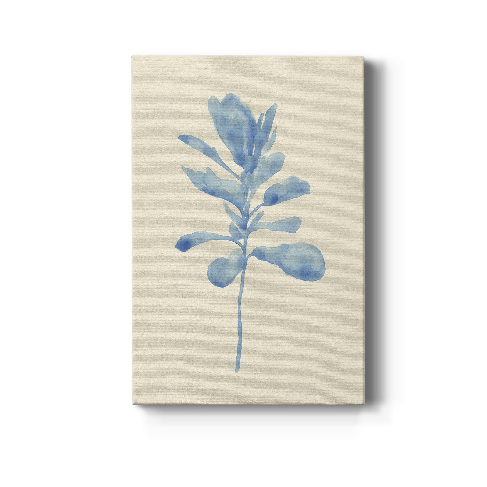 Verditer Fig IV - Canvas Art Print