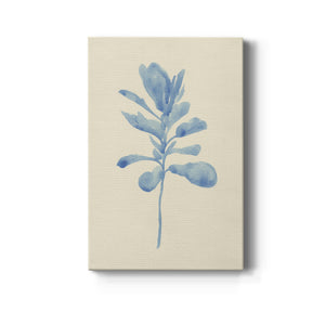 Verditer Fig IV - Canvas Art Print