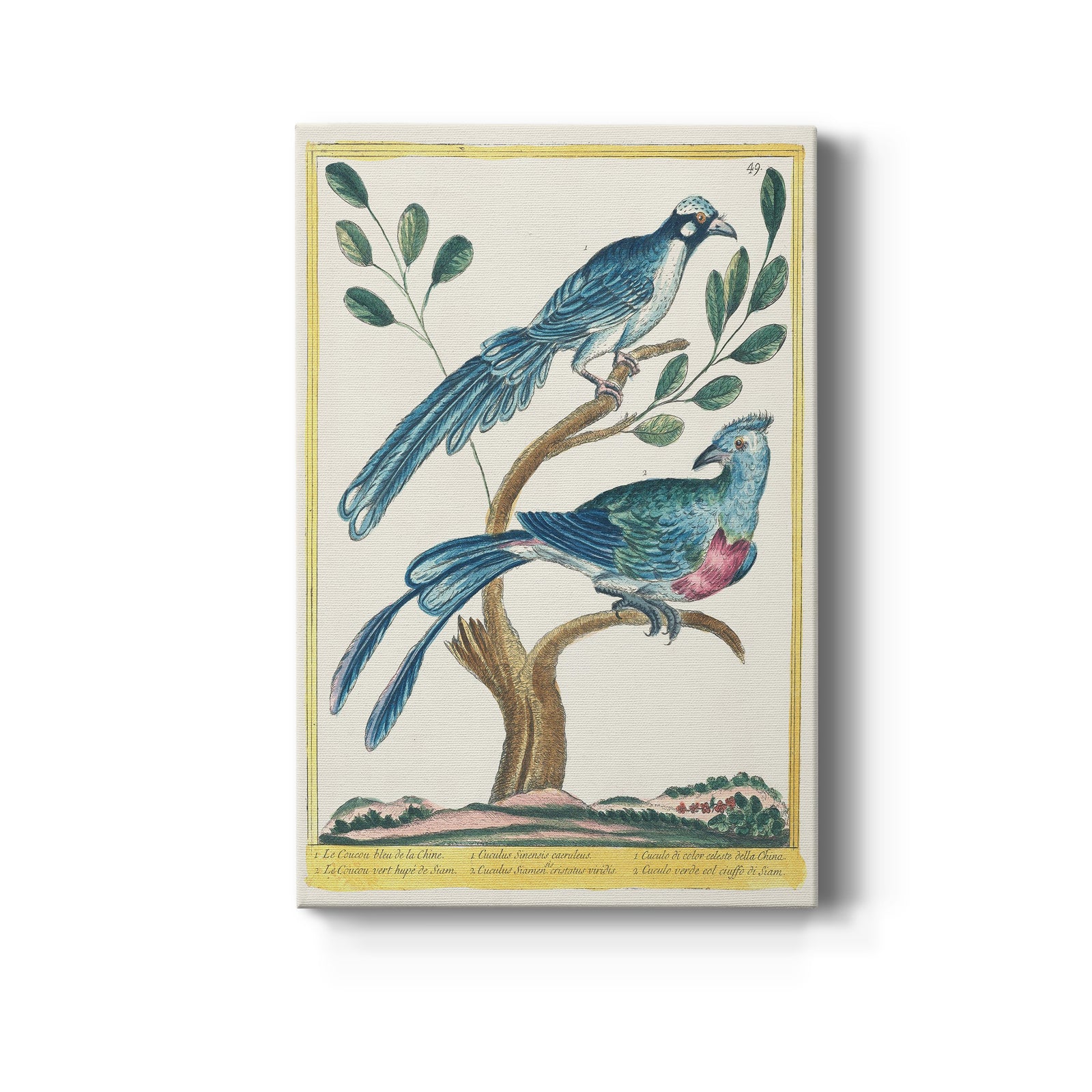 Pastel Birds VI - Canvas Art Print