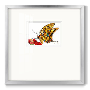 Wings II Premium Framed Print Double Matboard