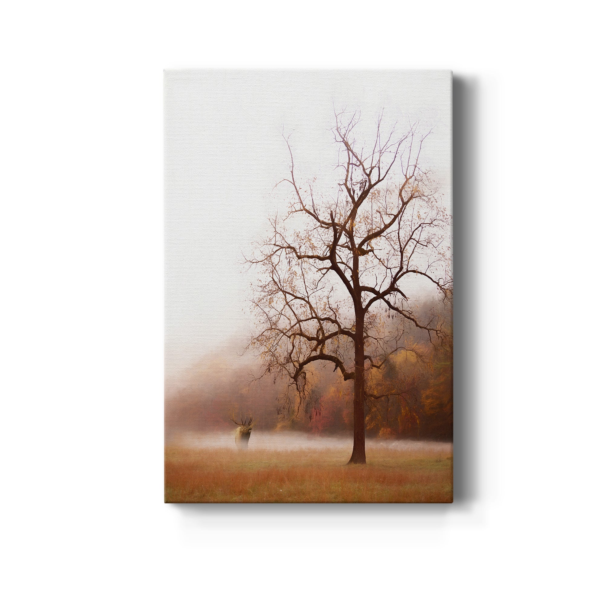 Photography Study Elk in the Mist Premium Gallery Wrapped Canvas - Ready to Hang