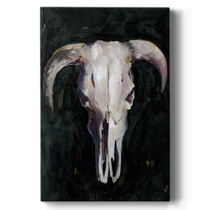 Horned Skull I - Canvas Art Print