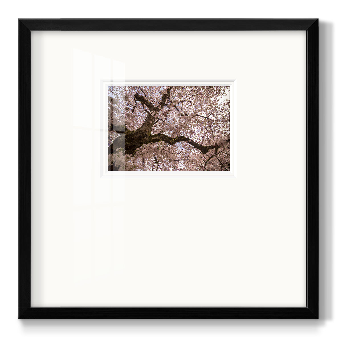 Spring's Arrival- Premium Framed Print Double Matboard