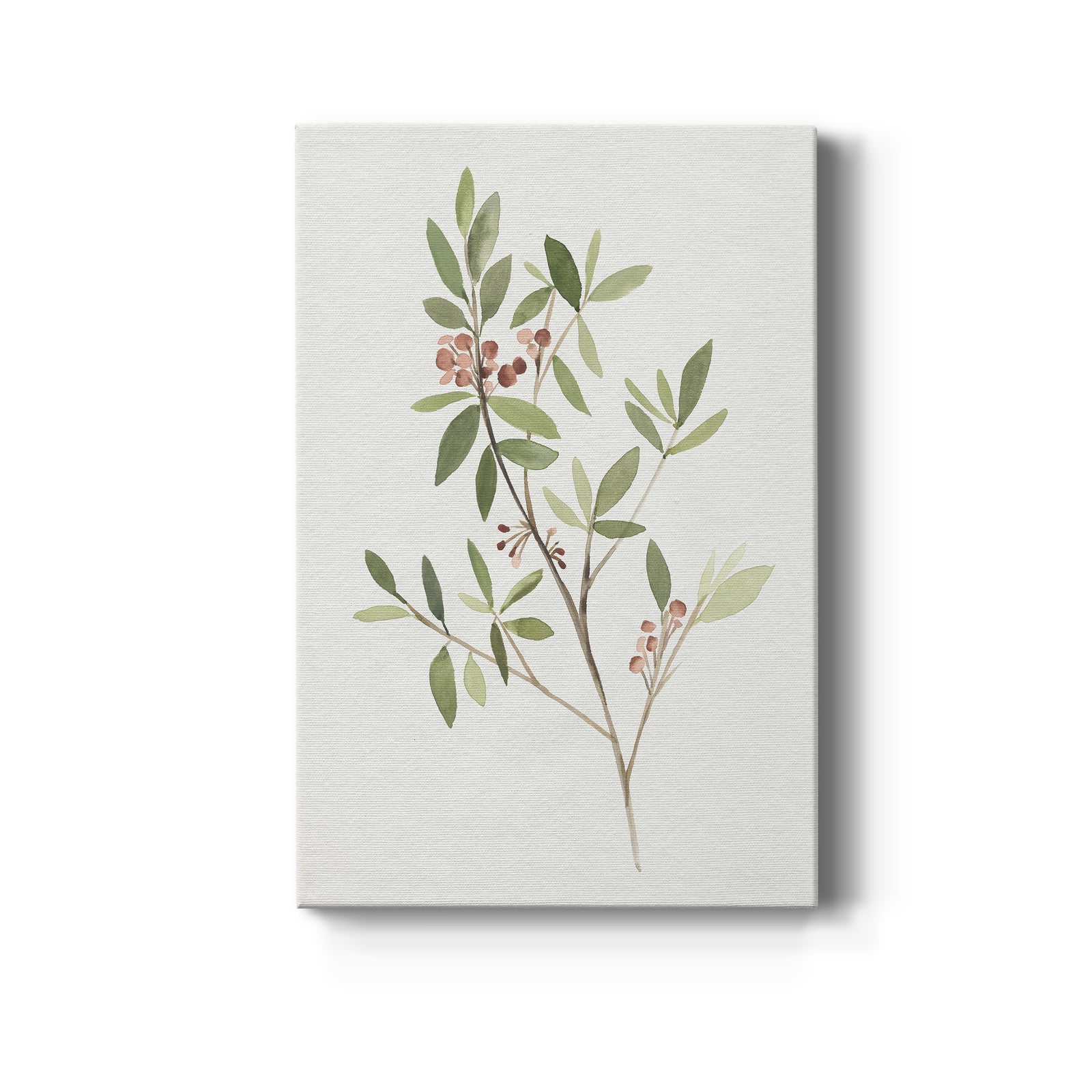 Single Sprig IV - Canvas Art Print