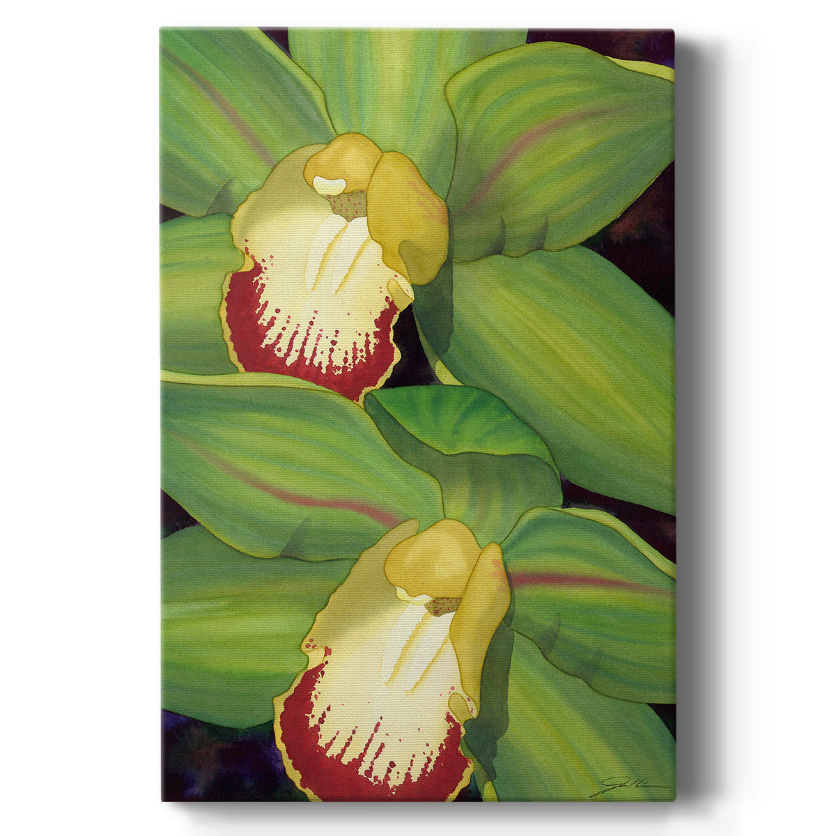 Lime Orchid I - Canvas Art Print