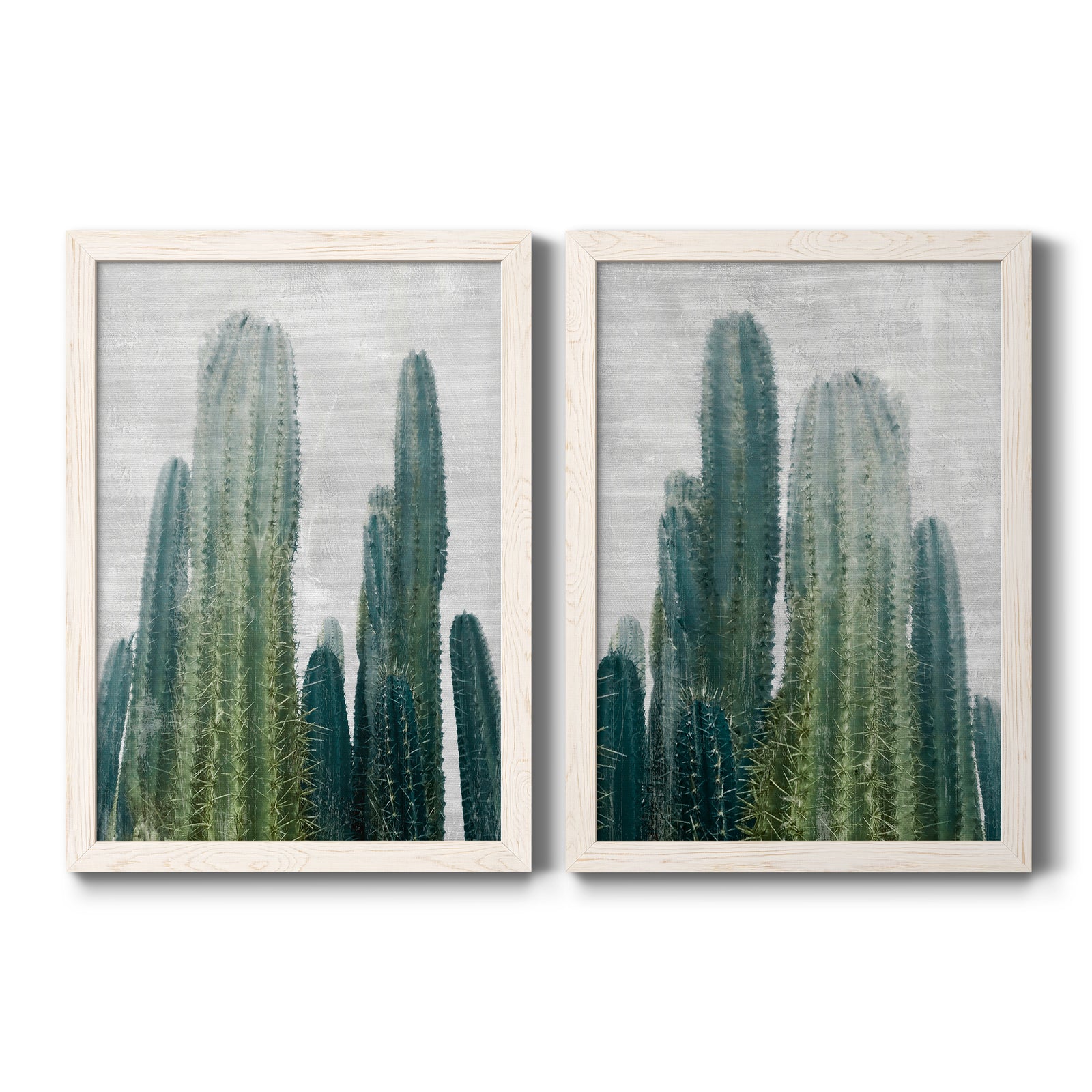 Aruba Cacti I- Premium Framed Canvas in Barnwood - Ready to Hang