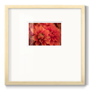 Spring Fire Premium Framed Print Double Matboard