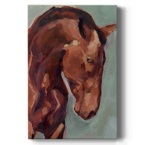 Paint by Number Horse II - Canvas Art Print