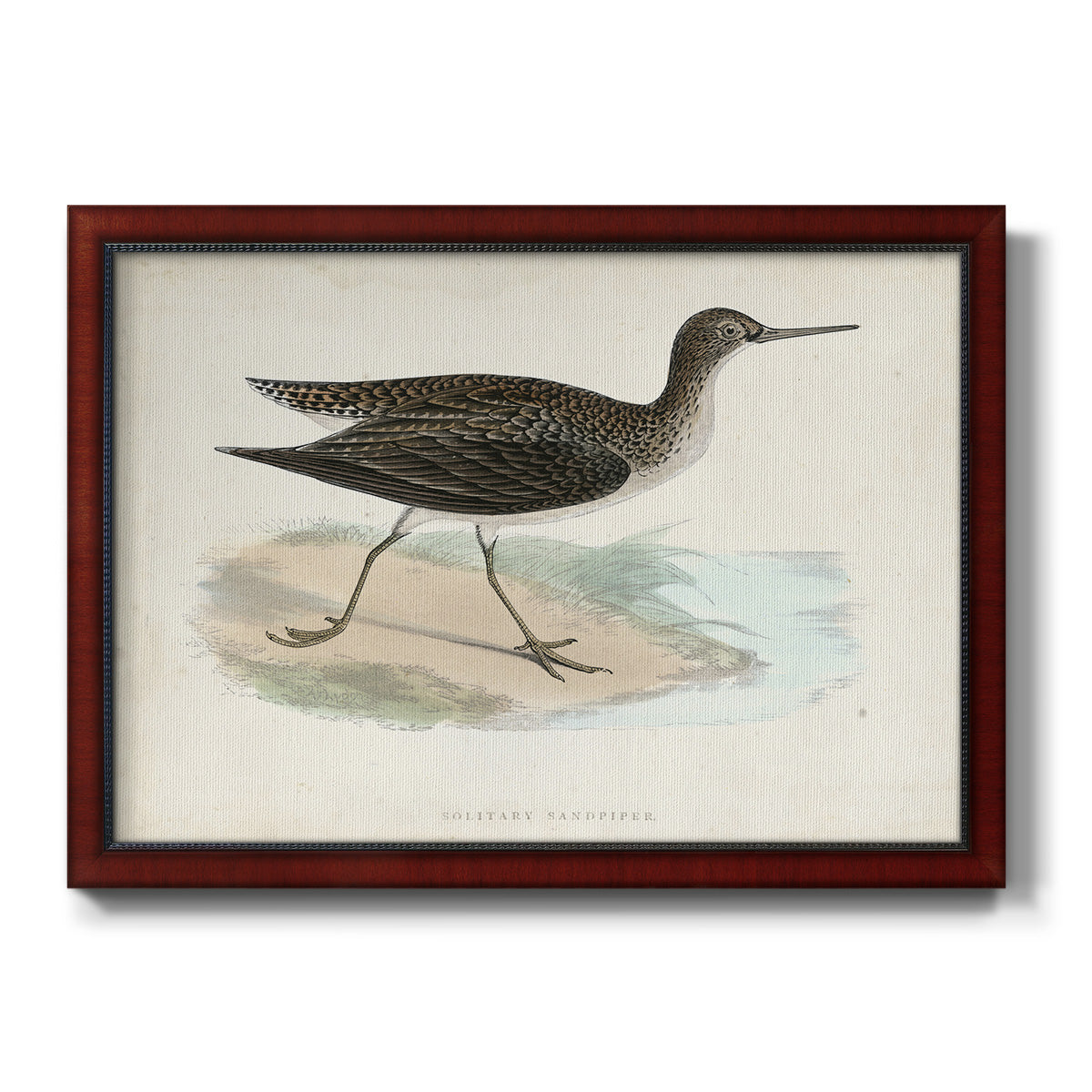 Morris Sandpipers VII Premium Framed Canvas- Ready to Hang