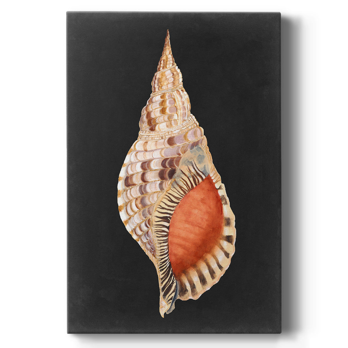 Graphic Grand Triton - Canvas Art Print