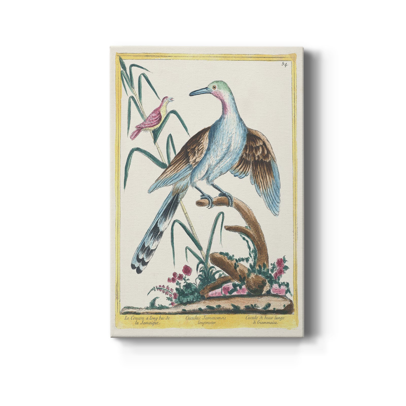 Pastel Birds V - Canvas Art Print