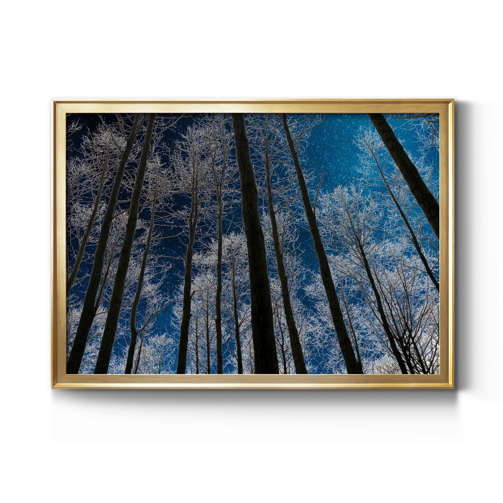 Night Silhouette - Modern Framed Canvas Print