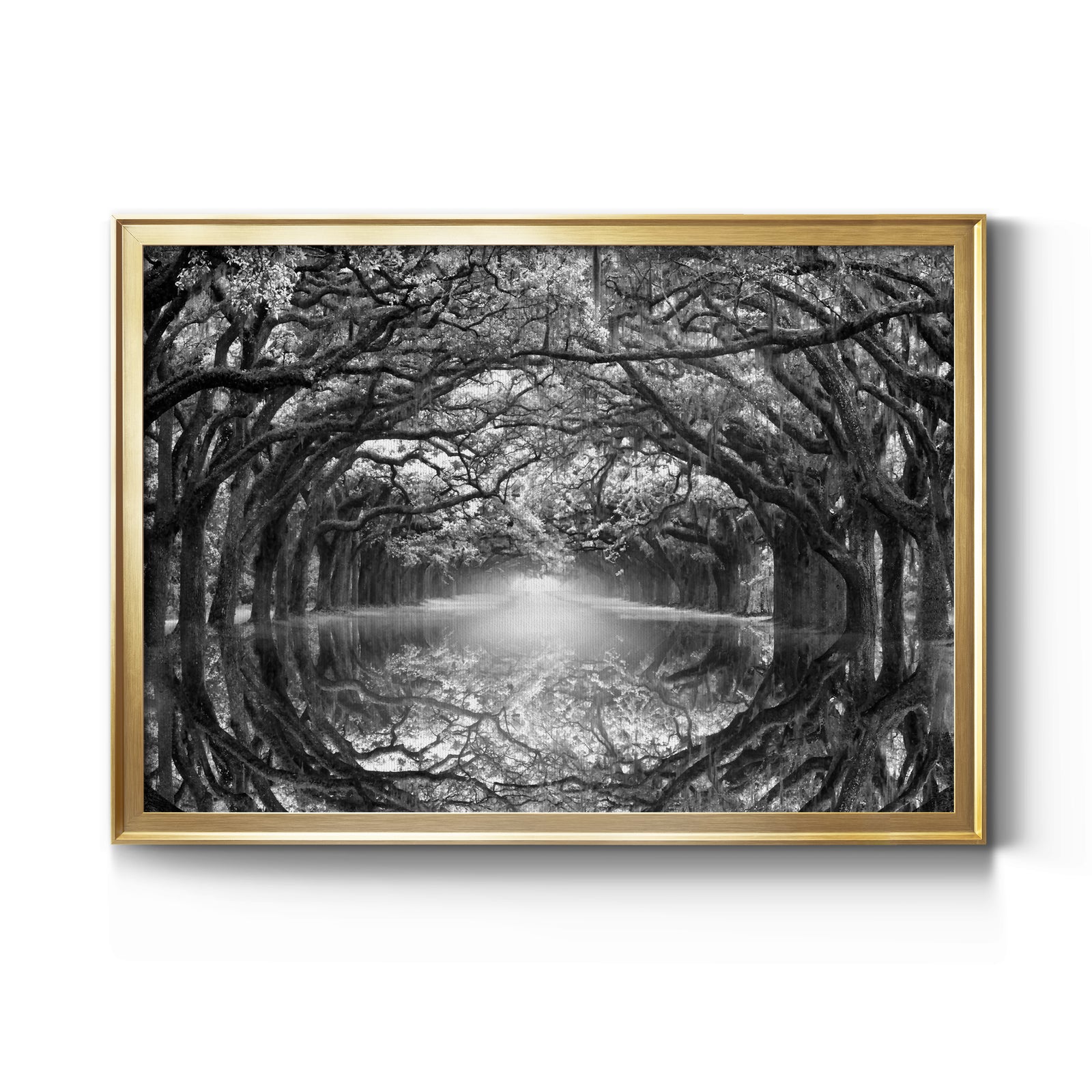 Oak Alley Reflection - Modern Framed Canvas Print