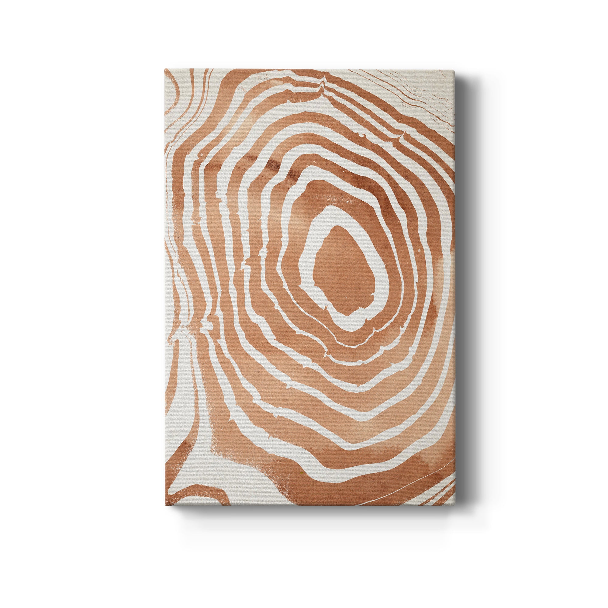 Wood Grain Suminagashi III Premium Gallery Wrapped Canvas - Ready to Hang