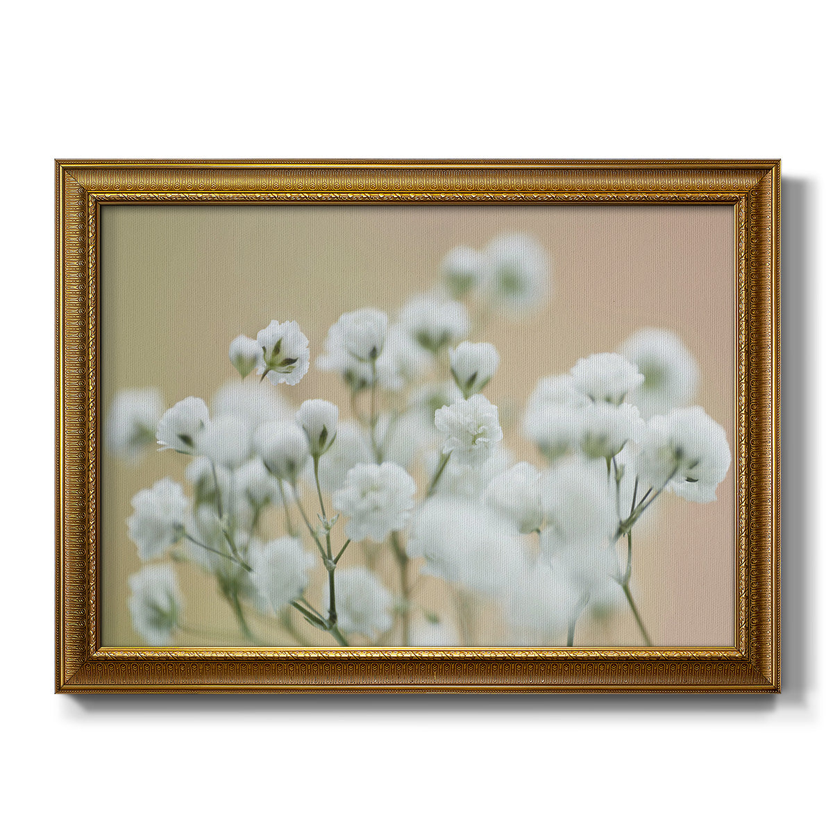 Baby's Breath Study II - Ornate Framed Canvas Print