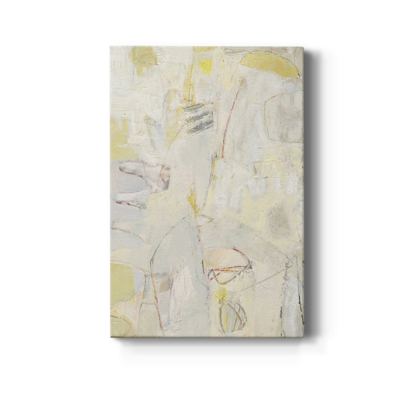 Fizgig II - Canvas Art Print