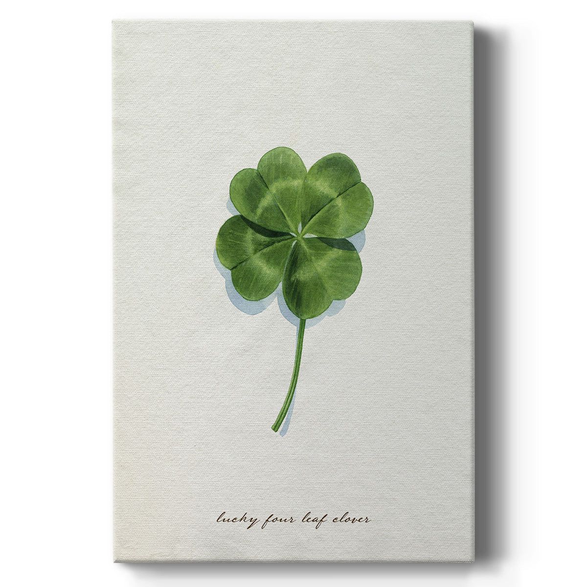 Lucky Charm I Premium Gallery Wrapped Canvas - Ready to Hang
