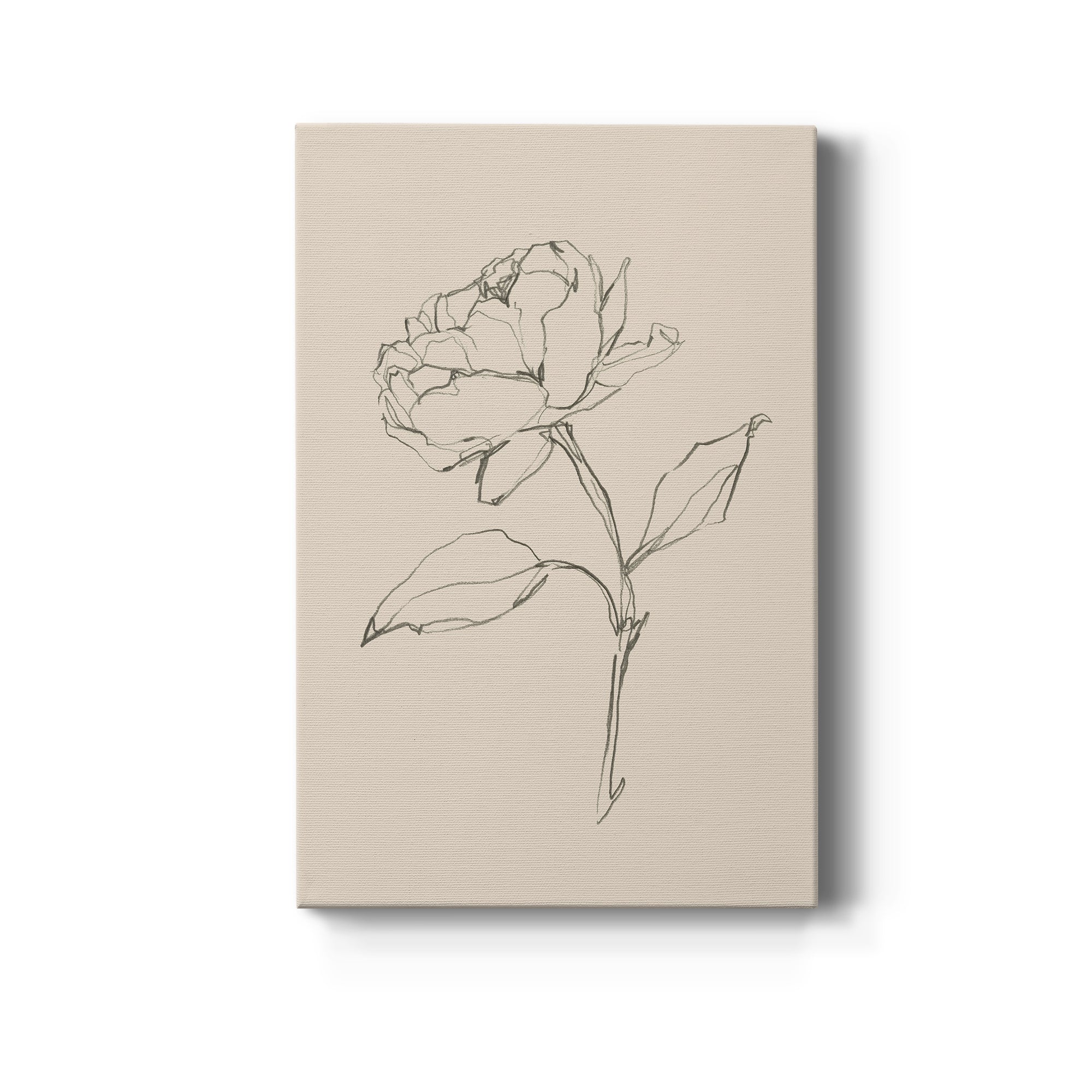 Floral Contour Study II Premium Gallery Wrapped Canvas - Ready to Hang