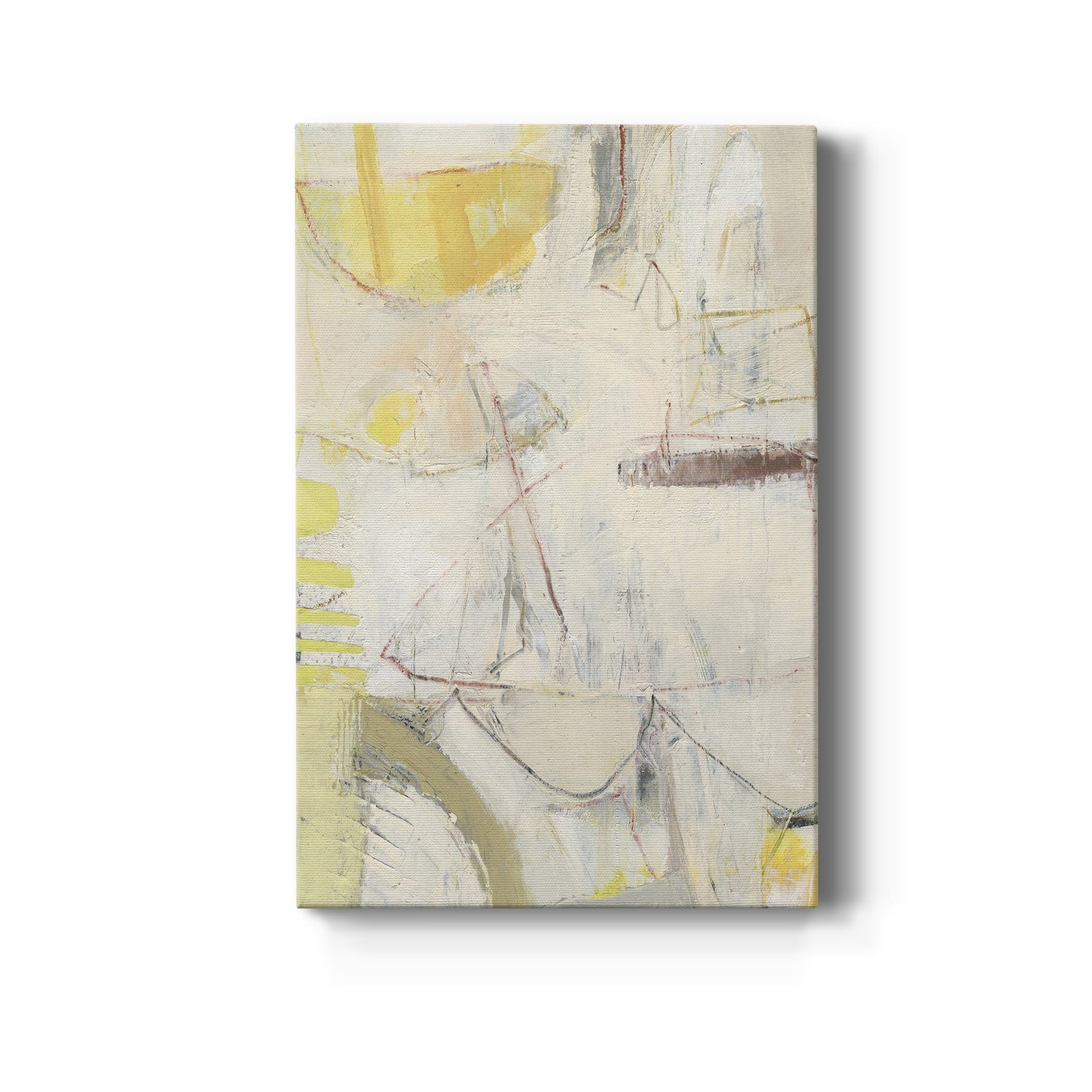 Fizgig IV - Canvas Art Print