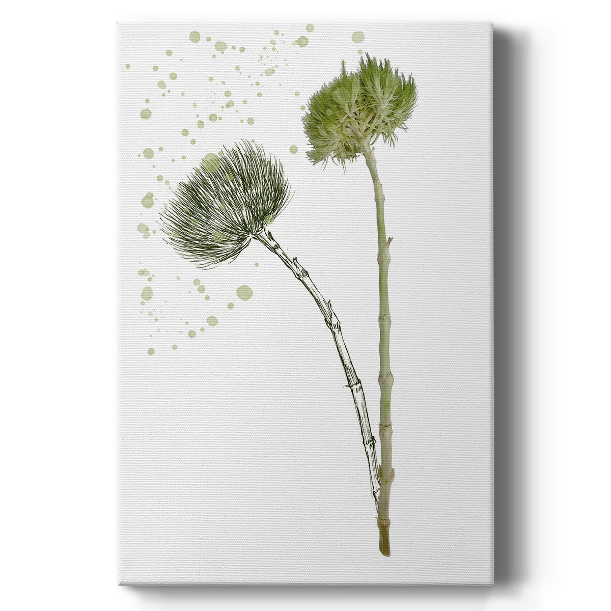 Botany Flower V - Canvas Art Print