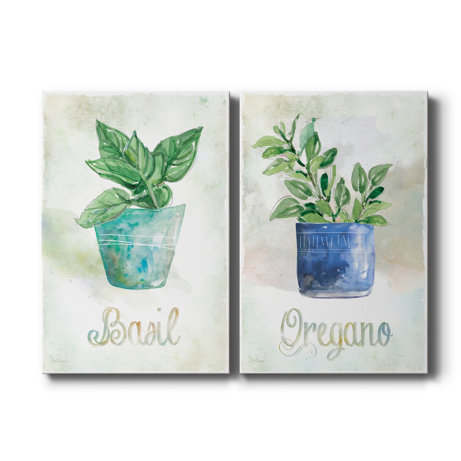 Potted Basil - Canvas Art Set
