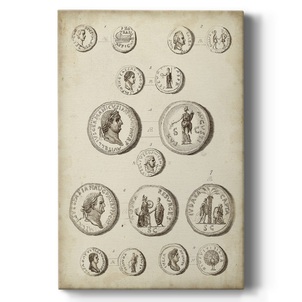 Antique Roman Coins III - Canvas Art Print