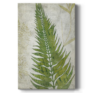 Frond II Premium Gallery Wrapped Canvas - Ready to Hang